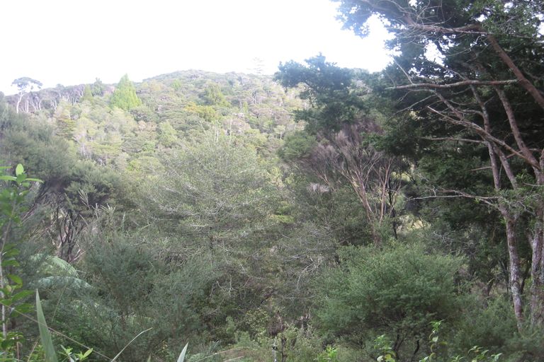 Photo of property in 4 Sullivans Road, Paihia, 0200