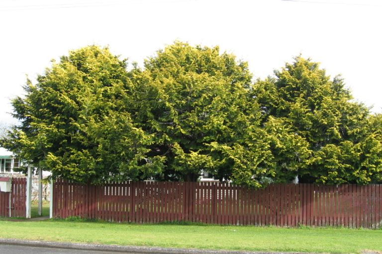 Photo of property in 3 Massey Street, Moerewa, 0211