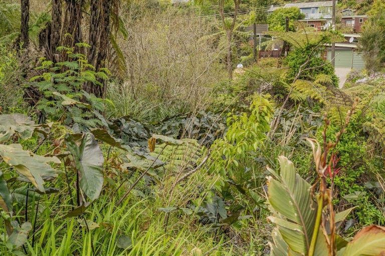 Photo of property in 24a Diamond Drive, Tairua, 3508