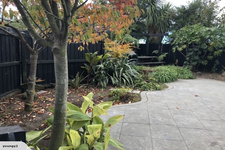 Photo of property in 80 Vogel Street, Roslyn, Palmerston North, 4414