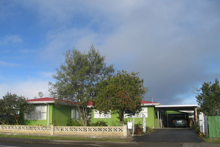 Photo of property in 45 Peterhead Avenue, Flaxmere, Hastings, 4120