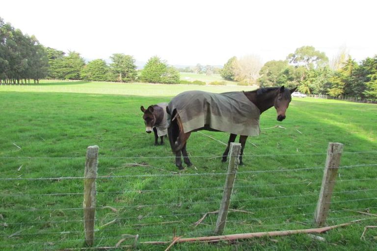 Photo of property in 160c Waitangi Road, Waihakeke, Carterton, 5792