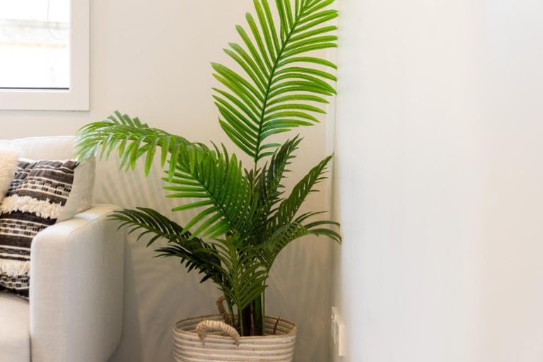 Photo of property in 15 Piata Street, Papamoa Beach, Papamoa, 3118