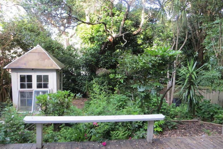 Photo of property in 3 Buchanan Street, Kingsland, Auckland, 1021