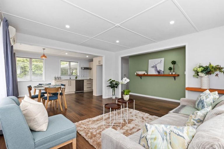 Photo of property in 99a Kenilworth Road, Mayfair, Hastings, 4122