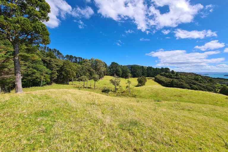 Photo of property in 1702 Colville Road, Amodeo Bay, Coromandel, 3584
