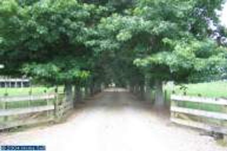 Photo of property in 256 Greenhill Road, Puketaha, Hamilton, 3281