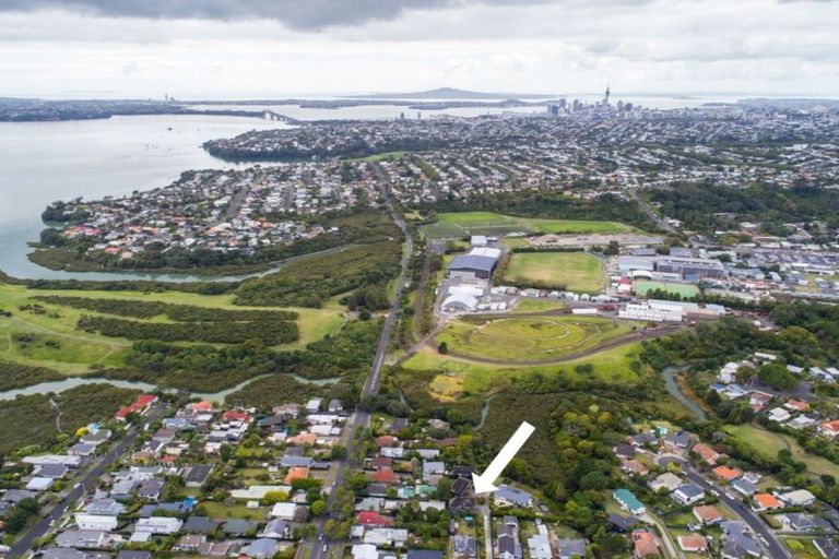 Photo of property in 1/105 Moa Road, Point Chevalier, Auckland, 1022