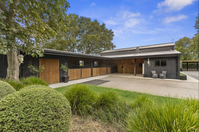 Photo of property in 1/347 Racecourse Road, Cambridge, 3493