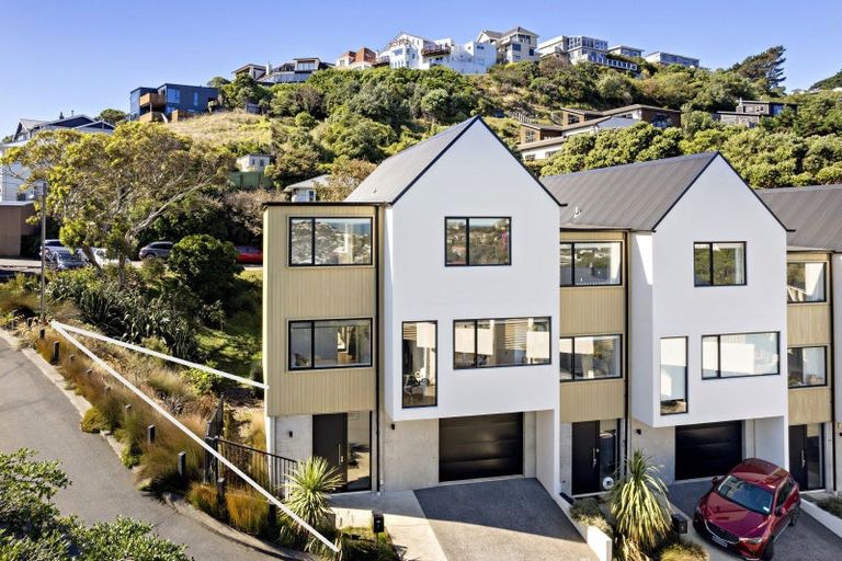 Photo of property in 1 Mary Dobson Way, Island Bay, Wellington, 6023