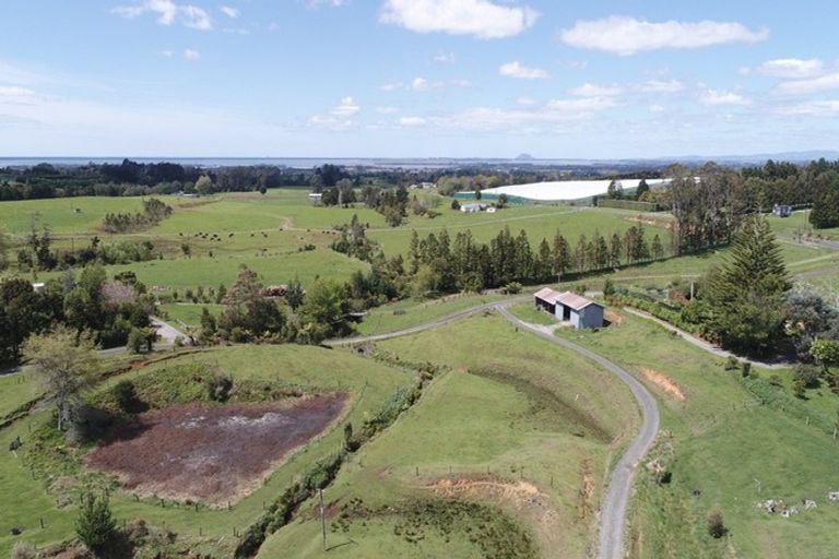 Photo of property in 348b Rea Road, Tahawai, Katikati, 3178