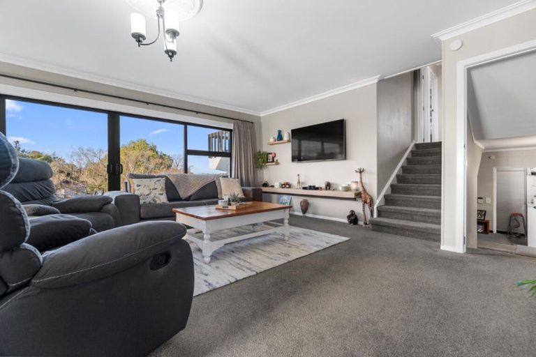 Photo of property in 19 Maple Avenue, Dinsdale, Hamilton, 3204