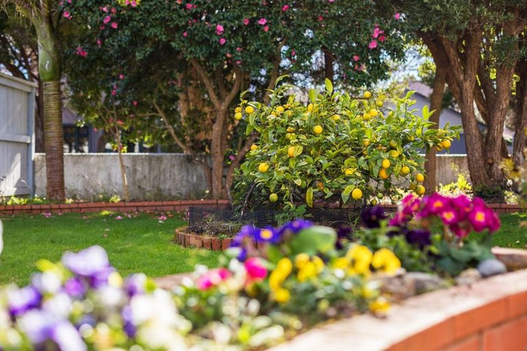 Photo of property in 50 Totara Crescent, Woburn, Lower Hutt, 5010