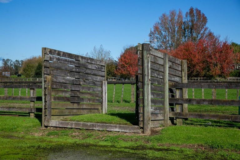 Photo of property in 93 Duncan Road, Tamahere, Hamilton, 3283