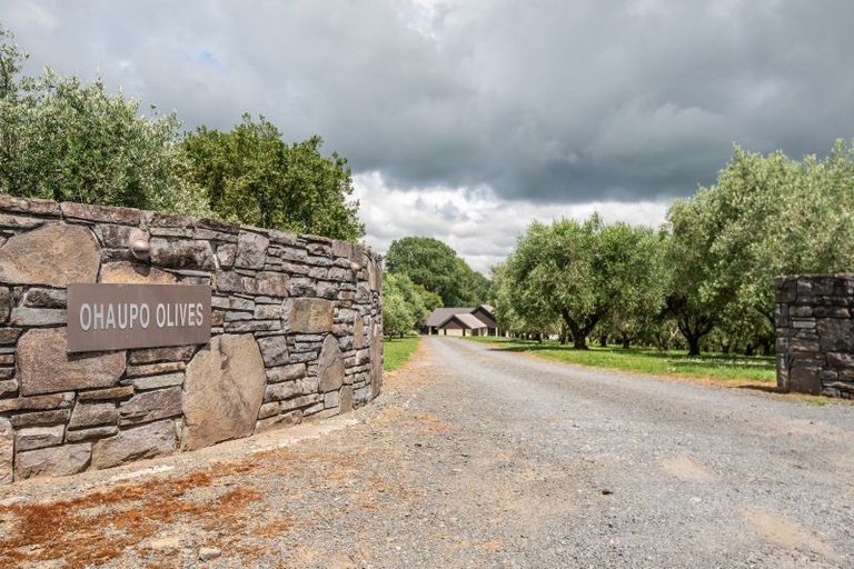 Photo of property in 3974 Ohaupo Road, Ohaupo, 3881