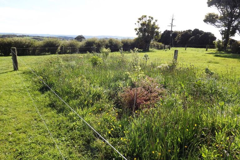 Photo of property in 669a Te Hutewai Road, Raglan, 3296