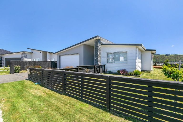 Photo of property in 112 John Burke Drive, Aotea, Porirua, 5024