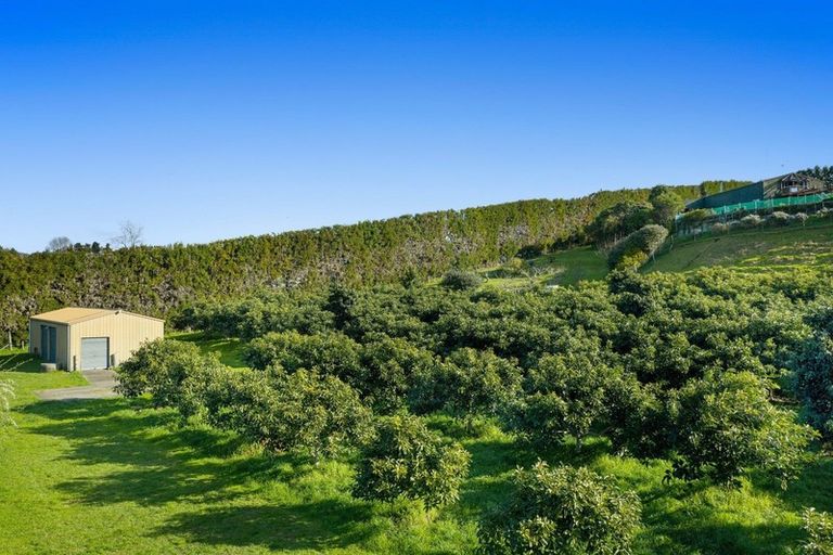 Photo of property in 333 Paerata Ridge Road, Waiotahe, Opotiki, 3198