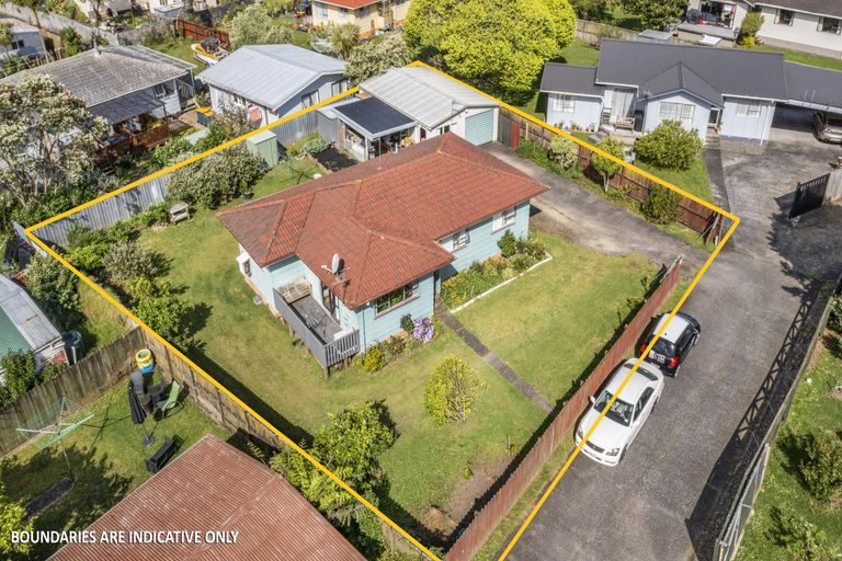 Photo of property in 12 Hinerau Street, Henderson, Auckland, 0612