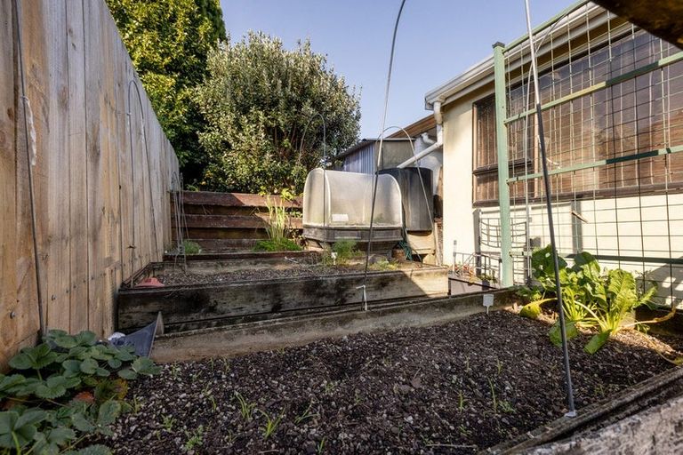 Photo of property in 10a Tutauanui Crescent, Maungatapu, Tauranga, 3112