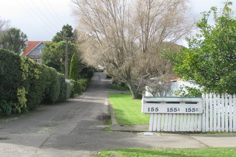 Photo of property in 155 Ruahine Street, Roslyn, Palmerston North, 4414