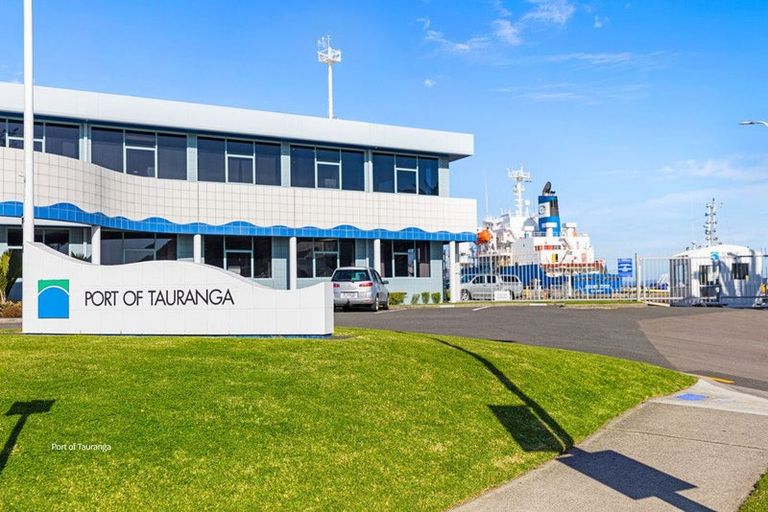 Photo of property in 3d Matai Street, Mount Maunganui, 3116