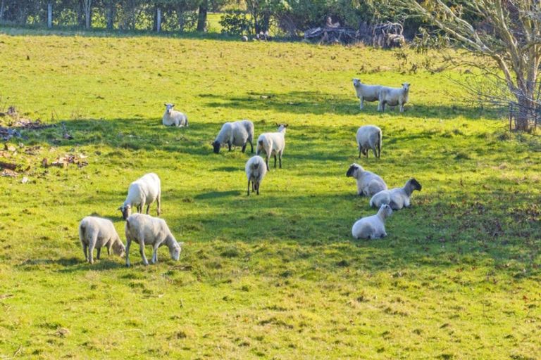 Photo of property in 204 Marshmans Road, Ashley, Rangiora, 7477