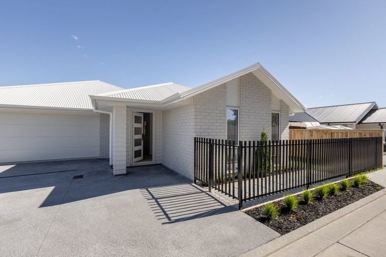 Photo of property in 11b Western Avenue, Omokoroa, 3114