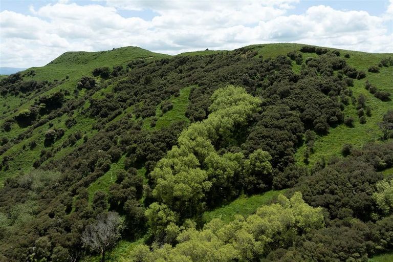 Photo of property in 134 Bowen Road, Eketahuna, 4994