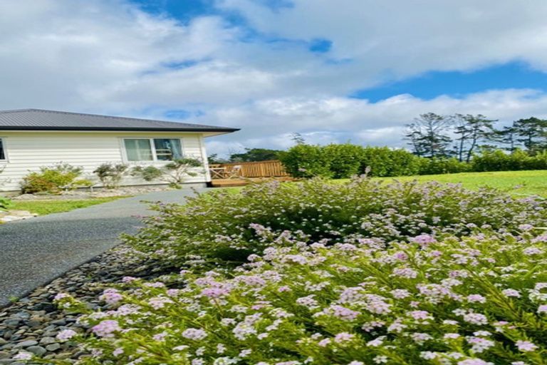 Photo of property in 56a Shelter Drive, Greenhithe, Auckland, 0632