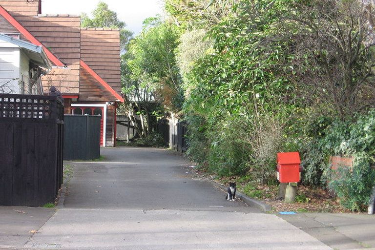 Photo of property in 468a College Street, Hokowhitu, Palmerston North, 4410