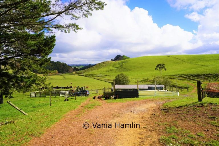 Photo of property in 533 Pataua South Road, Pataua South, Onerahi, 0192