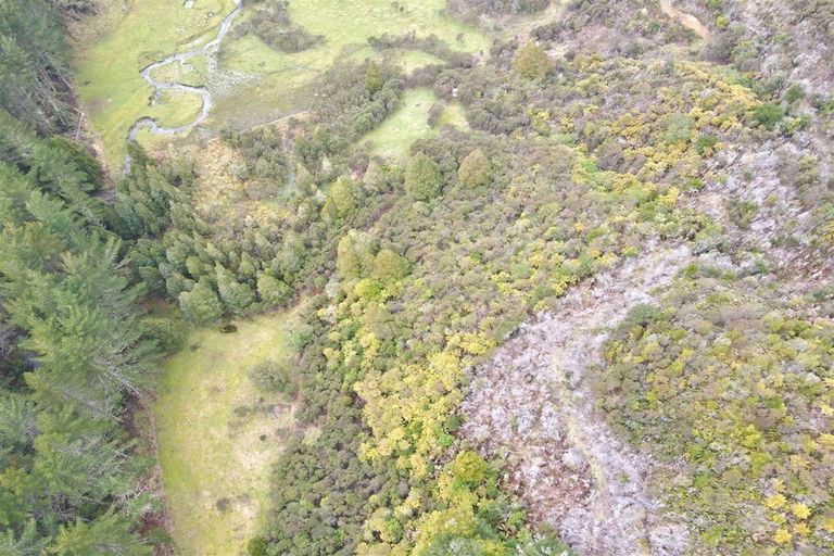 Photo of property in 1677 Takaputahi Road, Toatoa, Opotiki, 3197