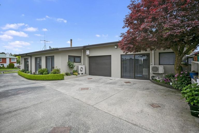 Photo of property in 13 Thornton Street, Putaruru, 3411