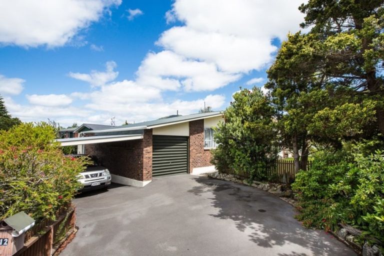 Photo of property in 12 Edith Street, Fairfield, Dunedin, 9018