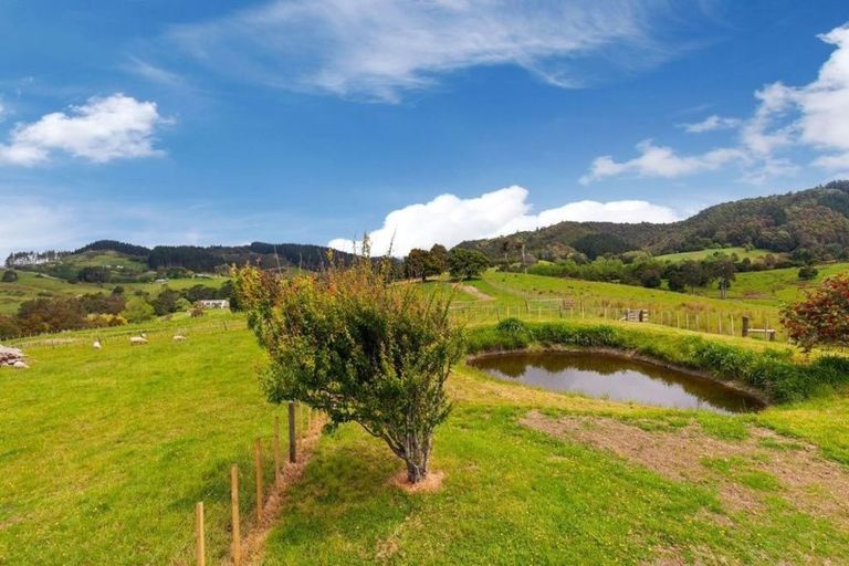 Photo of property in 614 Haruru Road, Kaukapakapa, 0873