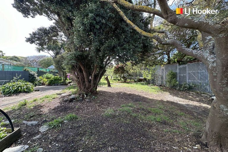 Photo of property in 141 Tomahawk Road, Andersons Bay, Dunedin, 9013