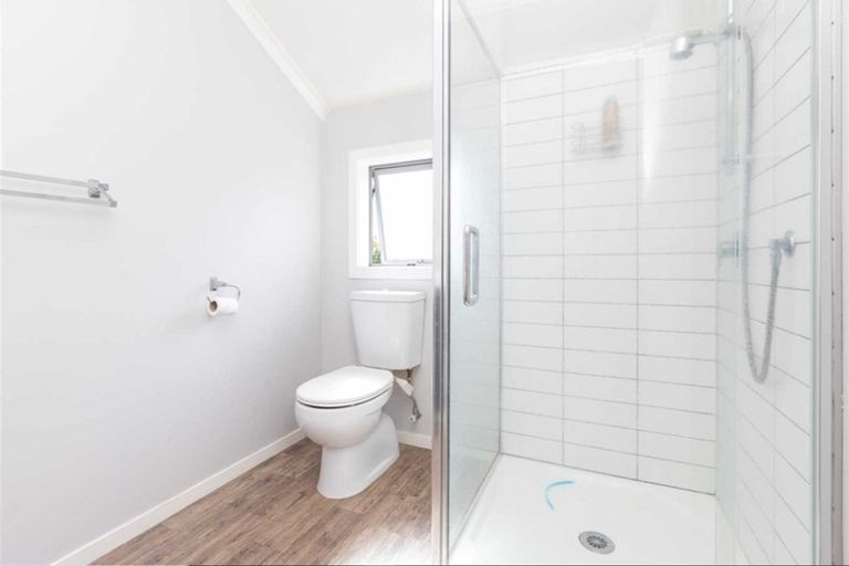 Photo of property in 217b Killarney Road, Frankton, Hamilton, 3204