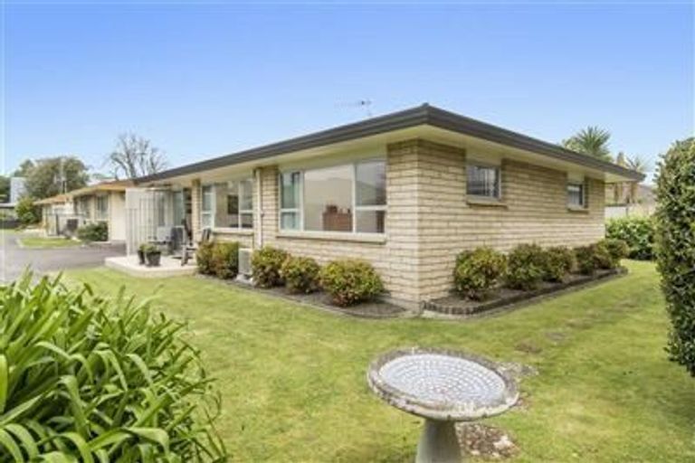 Photo of property in 3/531 Devonport Road, Tauranga South, Tauranga, 3112