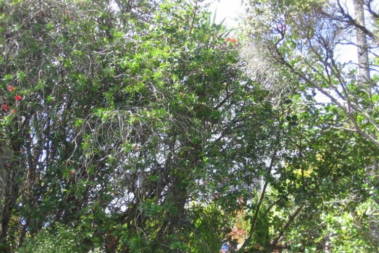 Photo of property in 31 Braemar Road, Castor Bay, Auckland, 0620