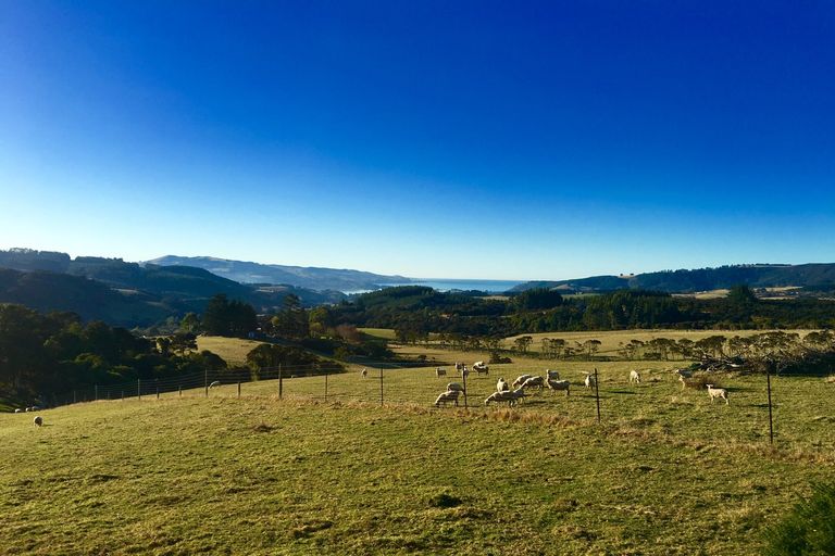 Photo of property in 60 Mcintosh Road, Upper Waitati, Waitati, 9085