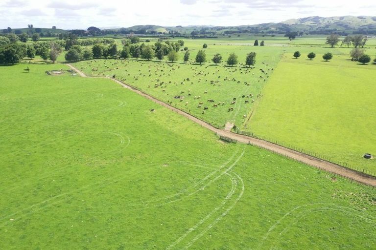 Photo of property in 231 Grice Road, Rotoorangi, Cambridge, 3495