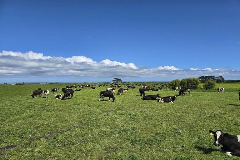 Photo of property in 189 Namu Road, Opunake, 4681