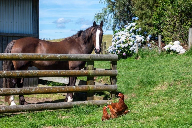 Photo of property in 691 Te Waerenga Road, Hamurana, Rotorua, 3096