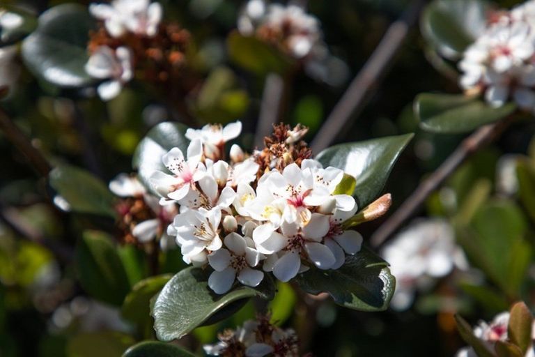 Photo of property in 9b Jocelyn Street, Katikati, 3129