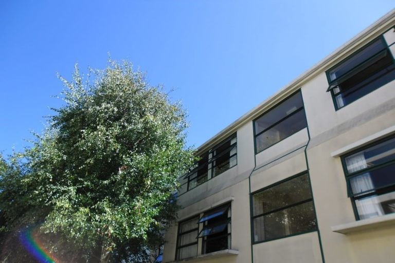 Photo of property in Te Awhina Apartments, 29/22 Sussex Street, Mount Cook, Wellington, 6021