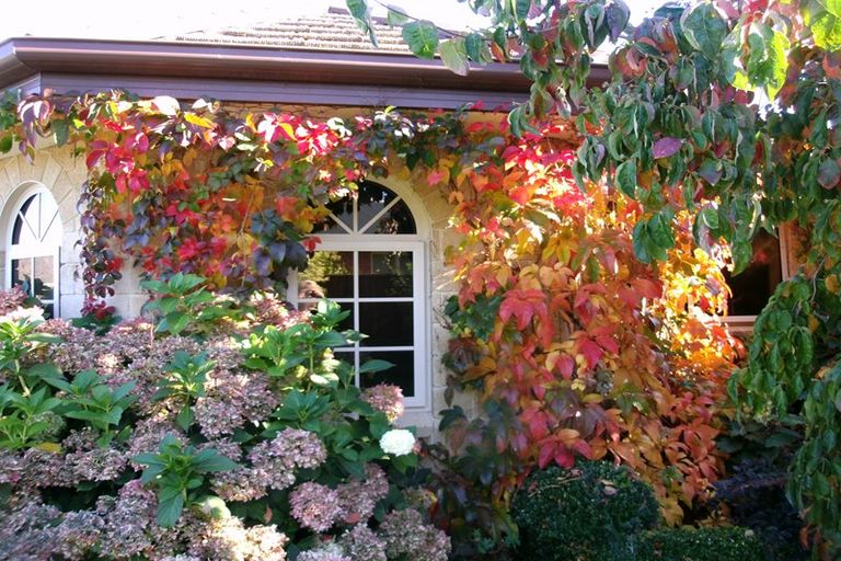 Photo of property in 42 Oak Tree Lane, Rolleston, 7614