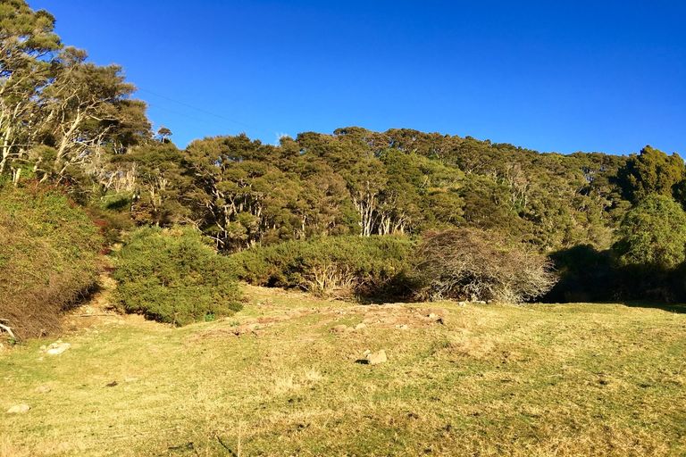 Photo of property in 60 Mcintosh Road, Upper Waitati, Waitati, 9085