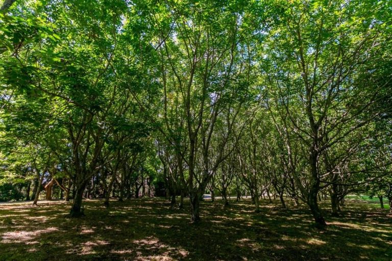 Photo of property in 109d Plummer Road, Whakamarama, Tauranga, 3179