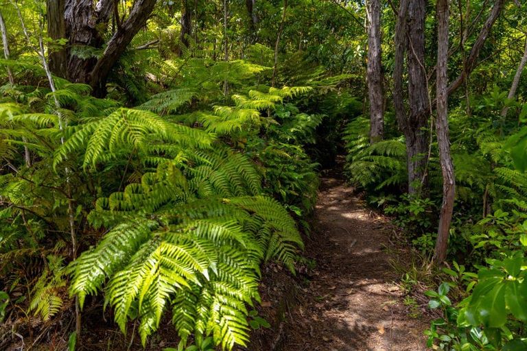 Photo of property in 47 Korimako Rise, Havelock, Picton, 7281